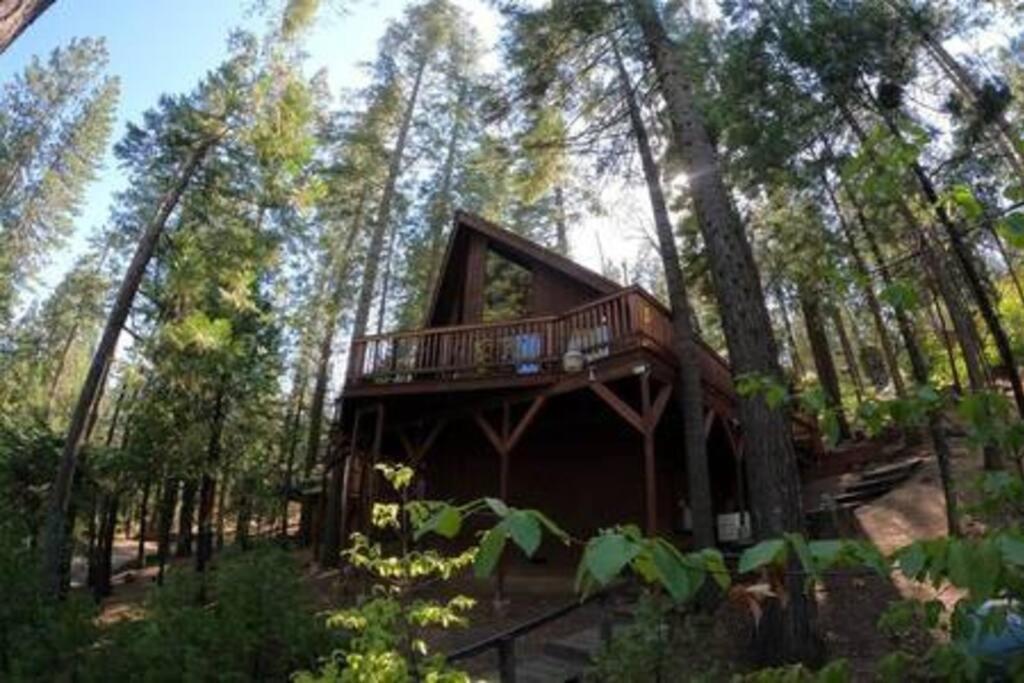Pinecrest A-Frame Family Fun Near Dodge Ridge Βίλα Long Barn Εξωτερικό φωτογραφία